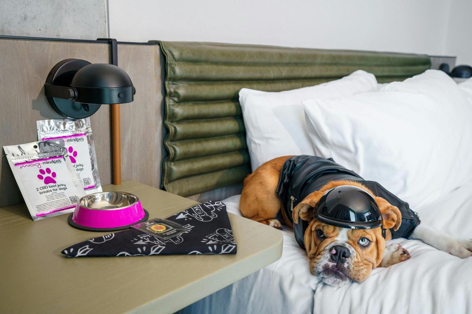 Hotel Moxy Downtown Angeles Los Angeles
